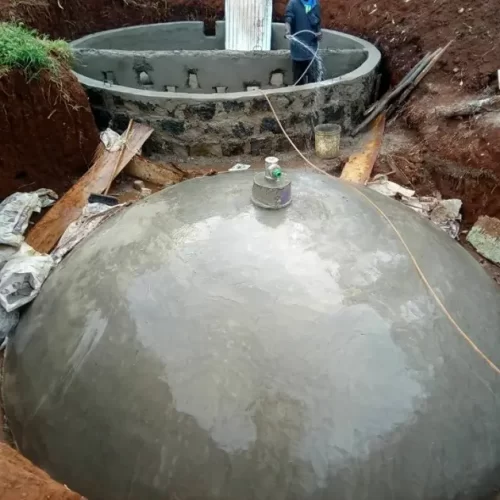 The Difference between Biomass and Biogas