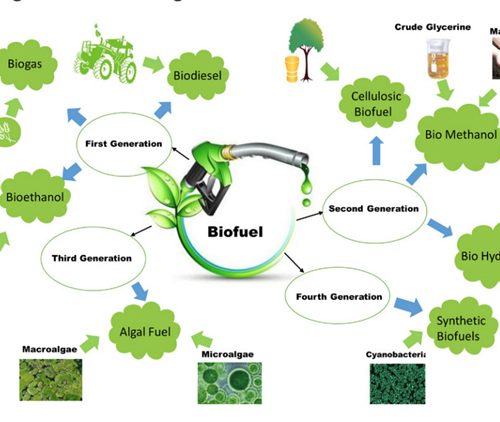The Pros and Cons of Biofuels