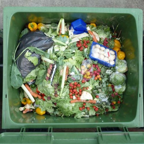 How to Harvest Biogas from Food Waste