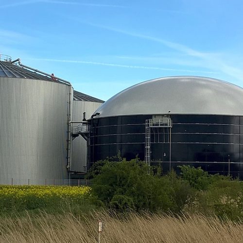 The Advantages and Disadvantages of Biogas