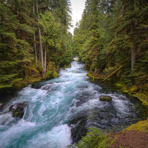 How to Filter River Water for Home Use