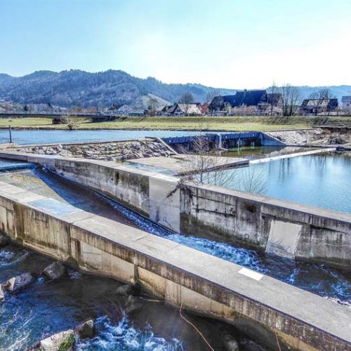 The Main Causes of Increased Turbidity