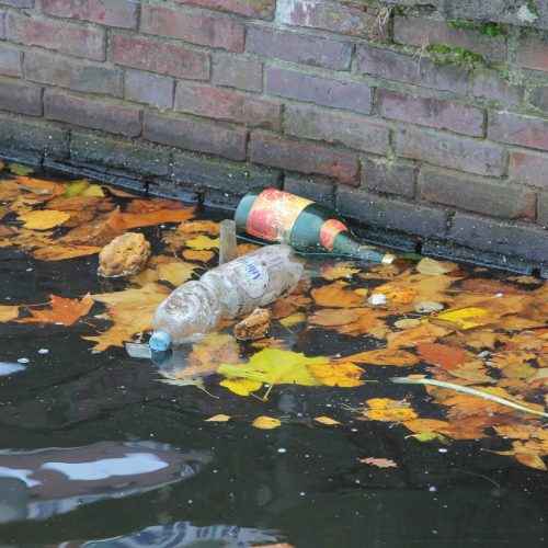 The Main Sources of Water Pollution