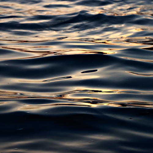 What Causes Lack of Oxygen in Water?