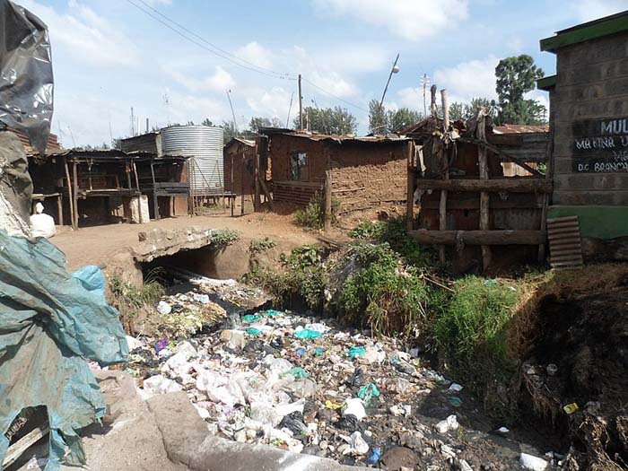 The Role of Biocatalysts in Waste Management