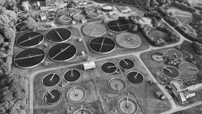 Role of Bacteria in Wastewater Treatment