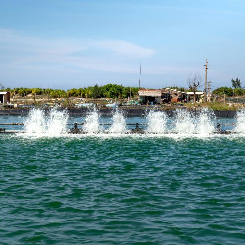 Coastal Water Treatment