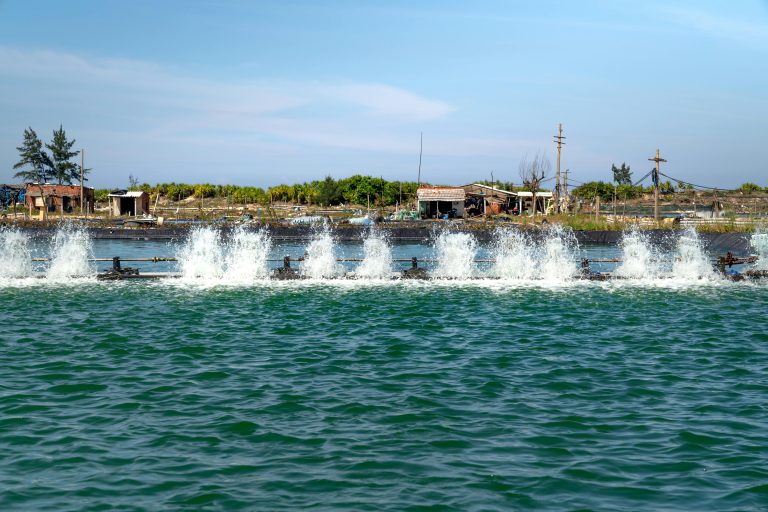 Coastal Water Treatment