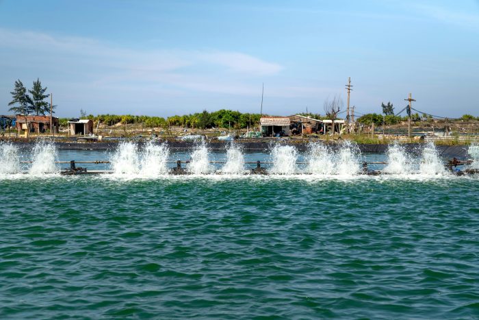 Coastal Water Treatment