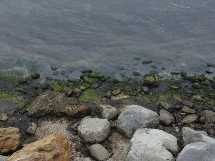 Coastal Water Treatment