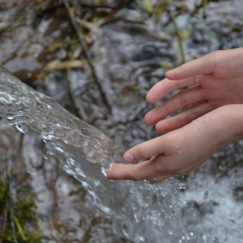 Impact of Erosion in Water Quality