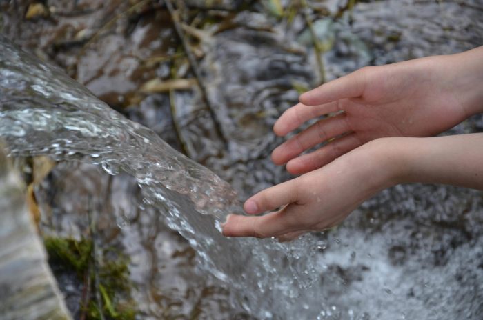 Impact of Erosion in Water Quality